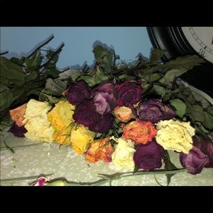 Dried flowers frame 🌸🌸🌸